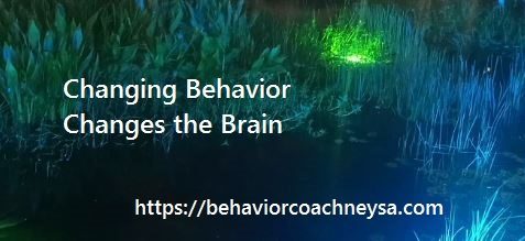 Behavior Coach Neysa